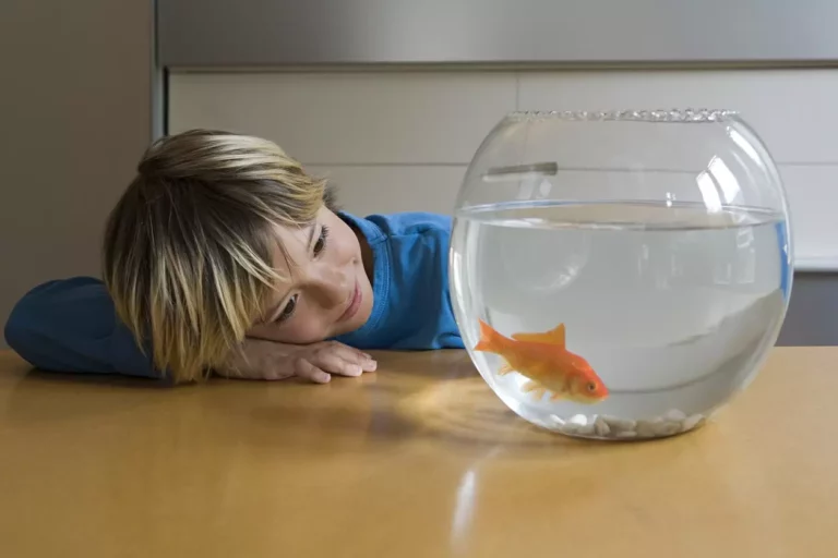 Vissen en zacht water: een goede combinatie?