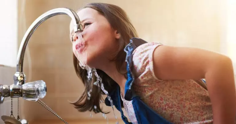 Hoe moet u een waterfilter schoonmaken? (En waarop moet u letten?)