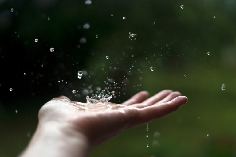 La purification des eaux de pluie, une solution d’avenir