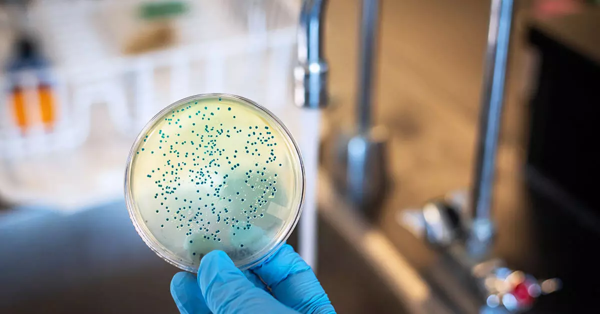 kan er bacteriegroei ontstaan door een waterontharder