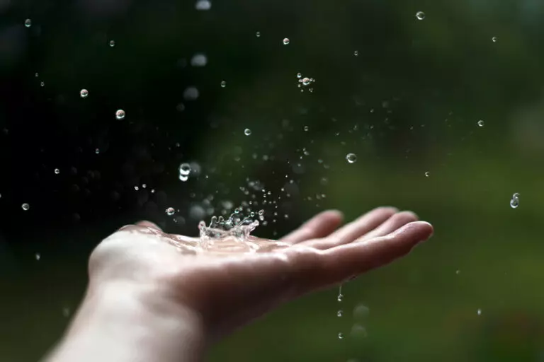 La purification des eaux de pluie, une solution d’avenir