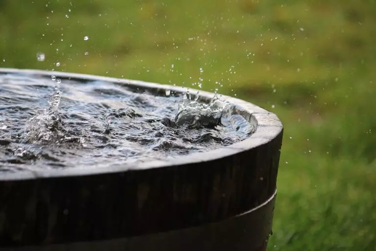 Waarvoor kunt u regenwater gebruiken? (En waarvoor zeker niet?)